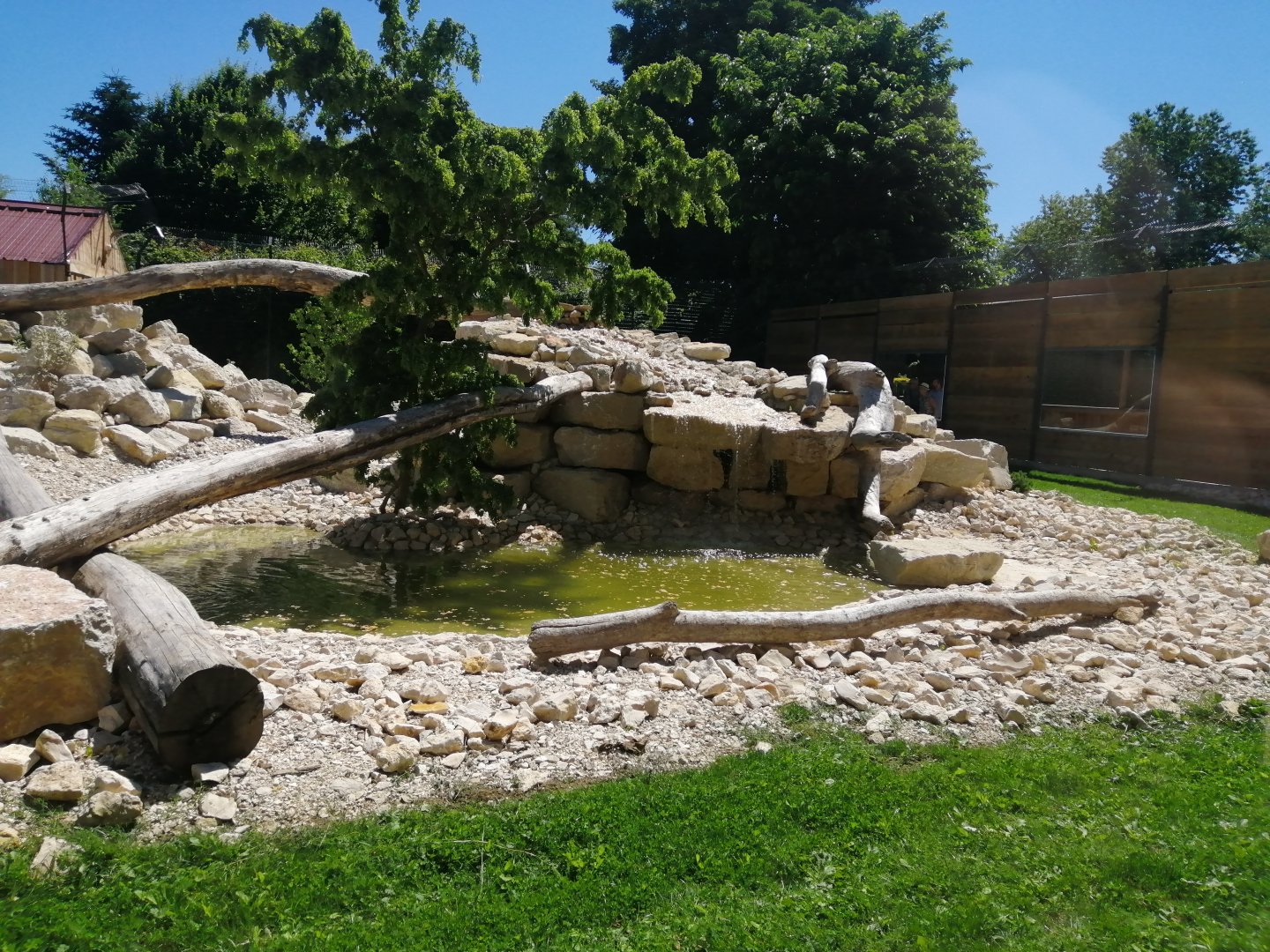 Puma exhibit new 2022