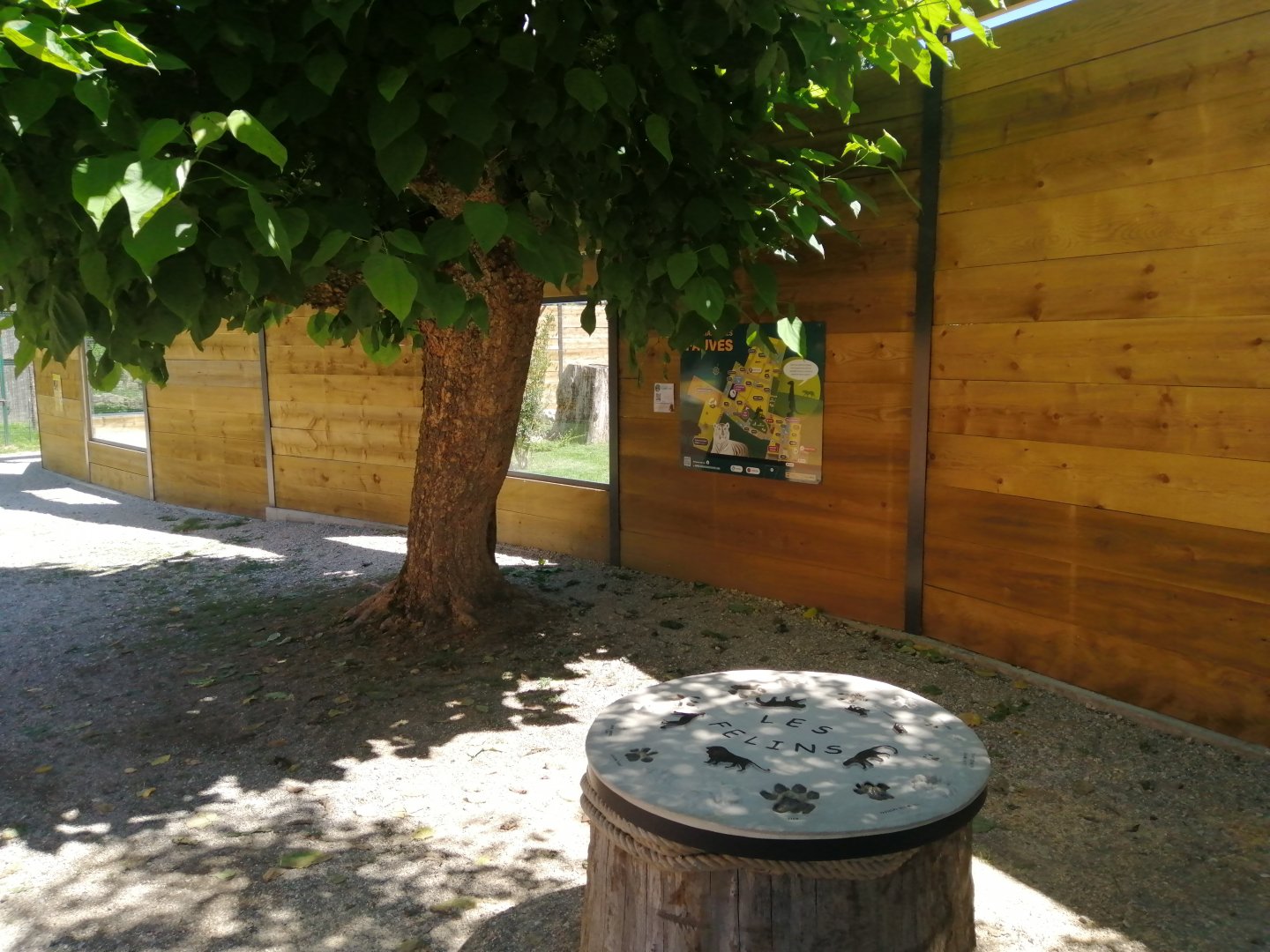 Puma exhibit new 2022