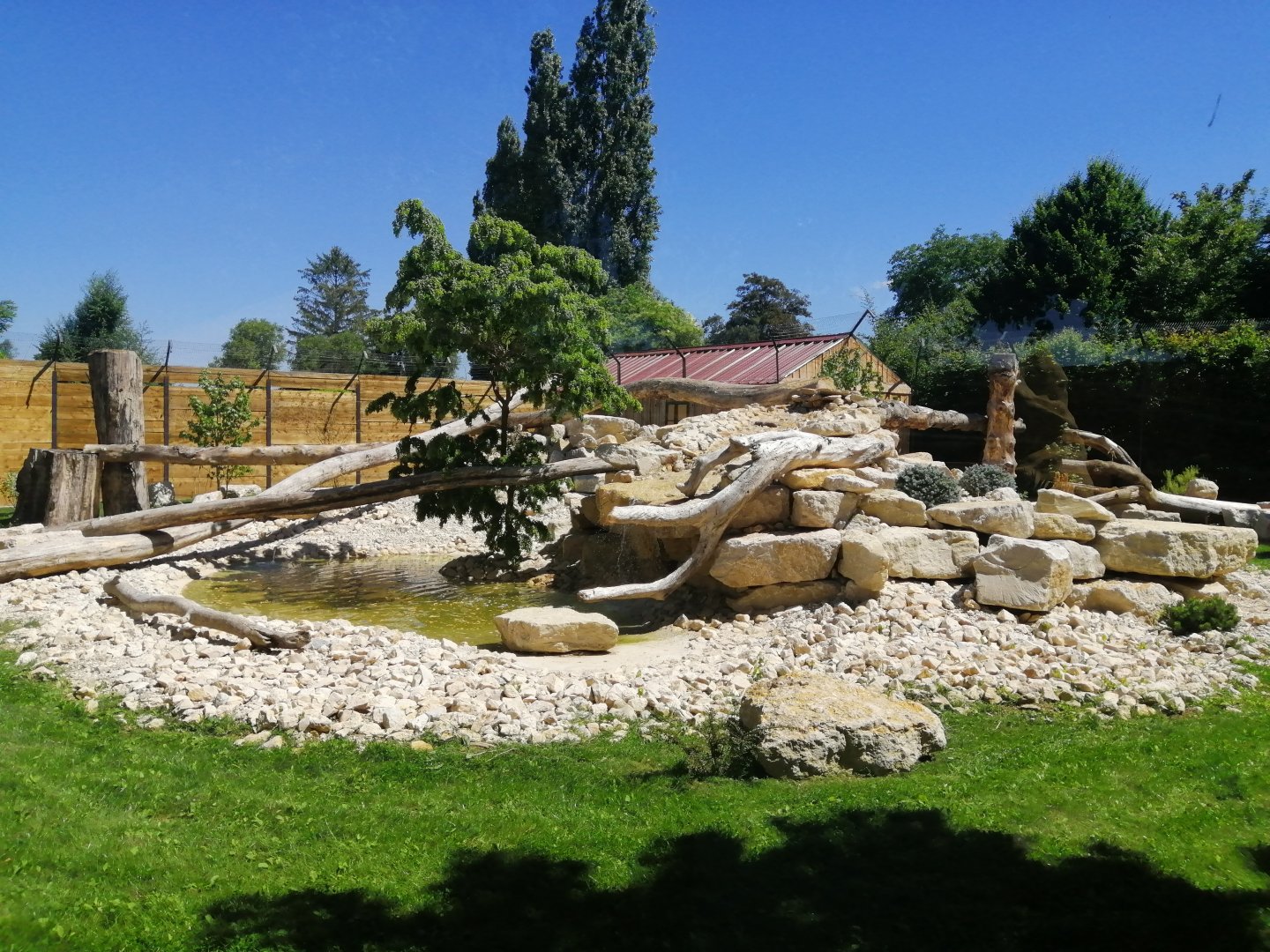 Puma exhibit new 2022