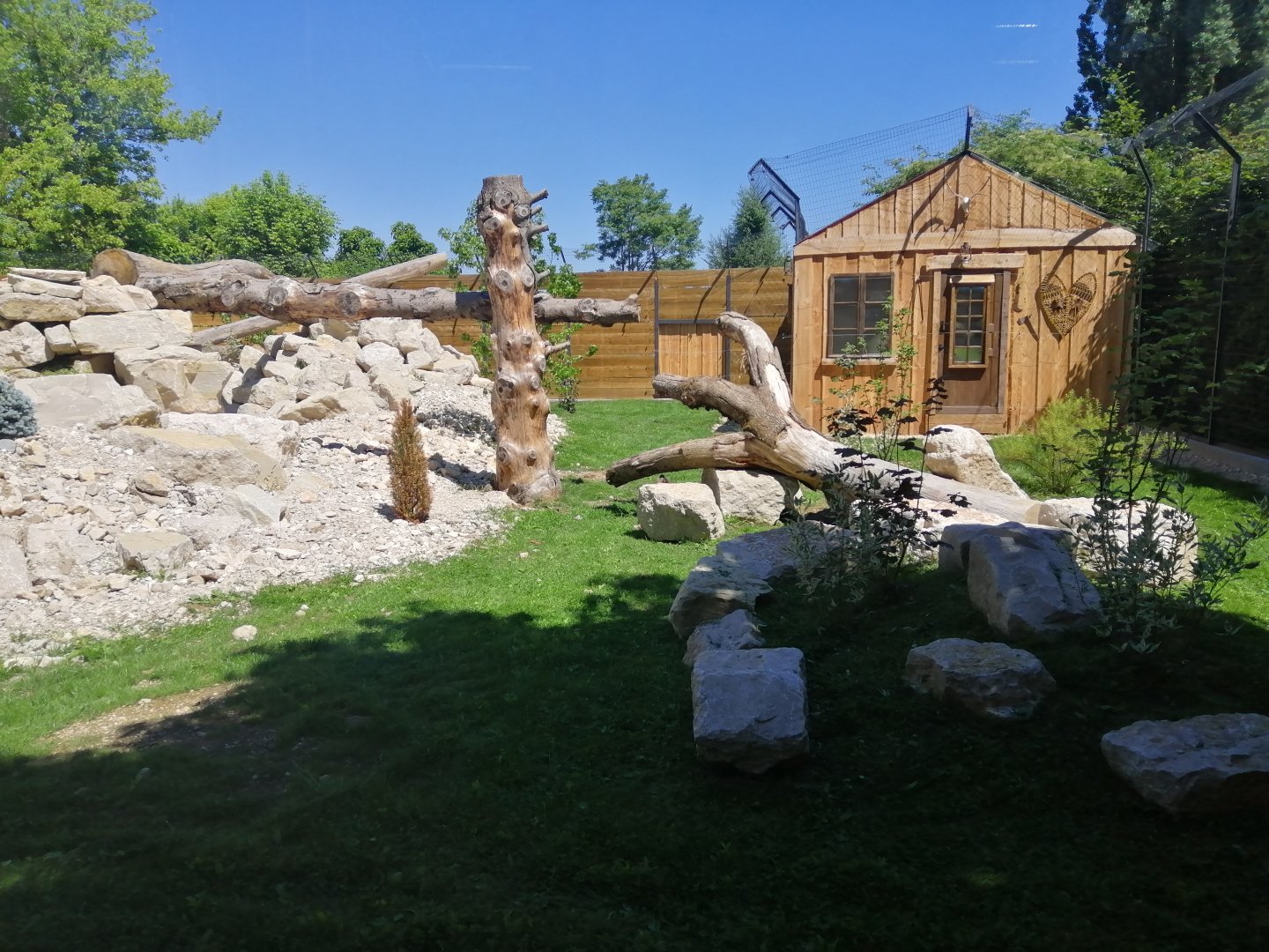 Puma exhibit new 2022