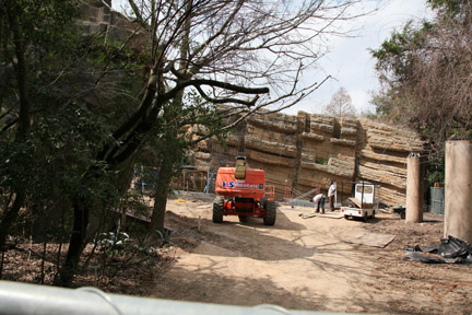 puma exhibit renovation