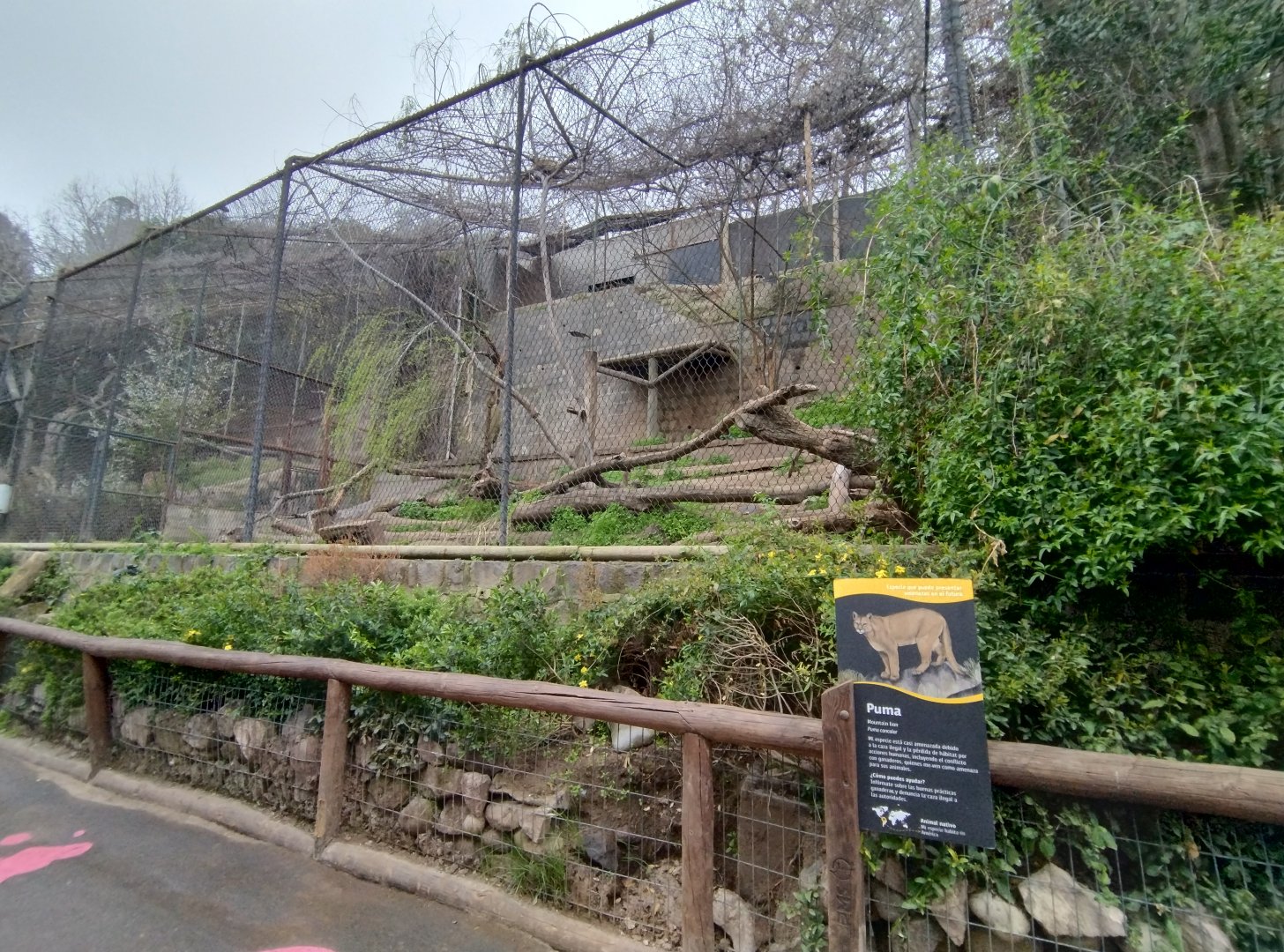 Puma exhibit - Santiago zoo (Zoologico nacional)