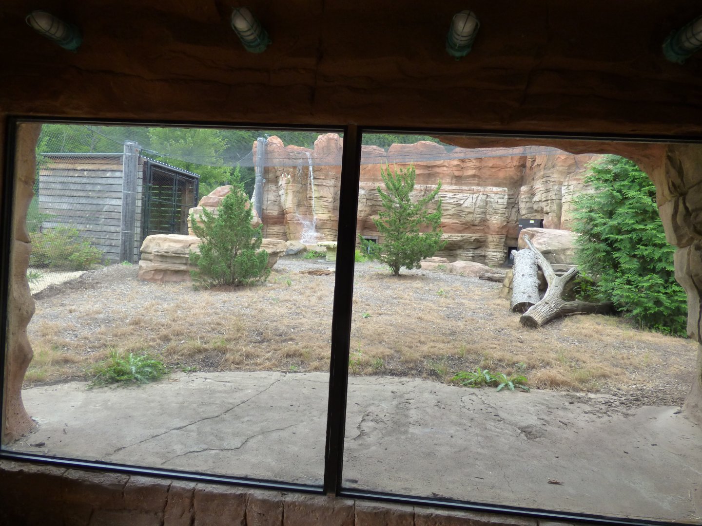 Puma Exhibit - Sept. 2018