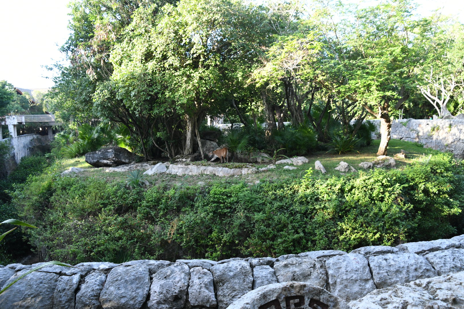 Puma Exhibit