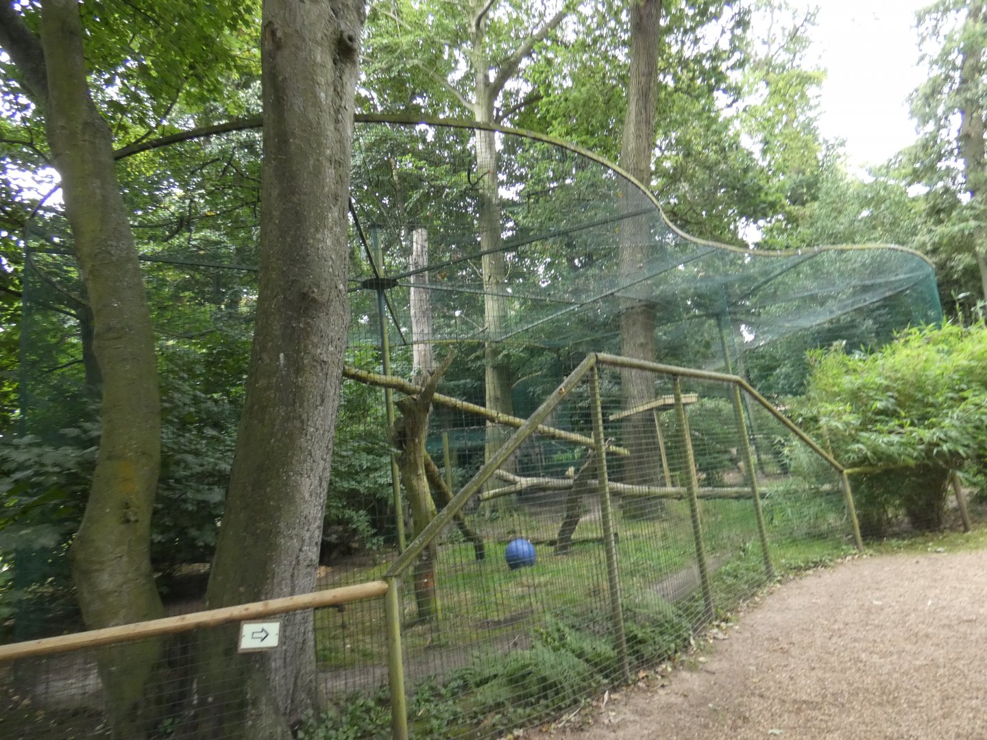 Puma female enclosure