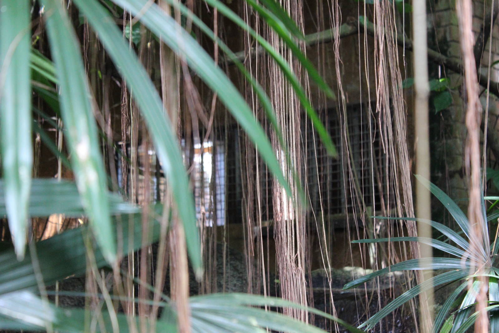 Puma Off Exhibit Area