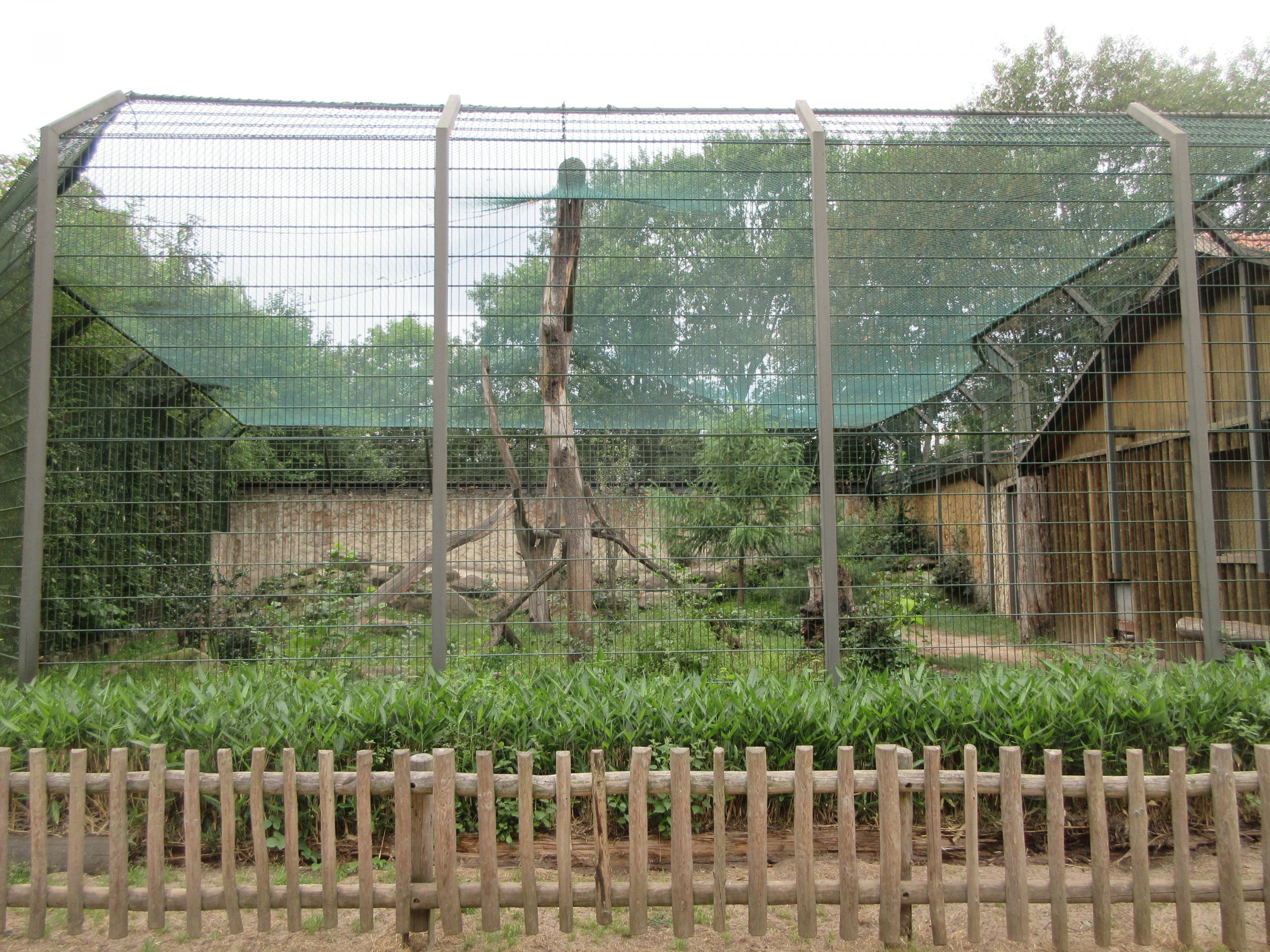 Puma - outdoor exhibit