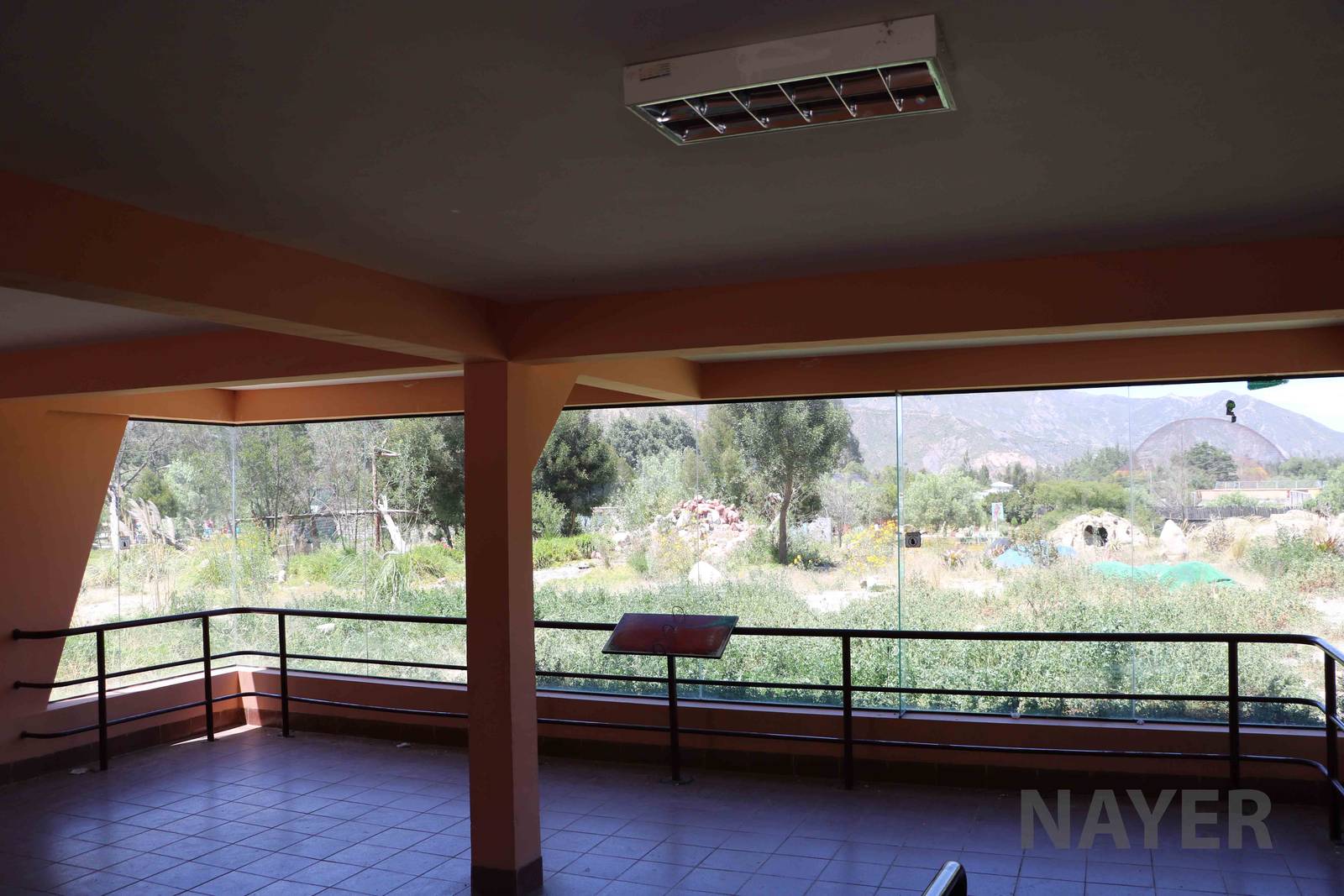 Puma viewing area, March 2016