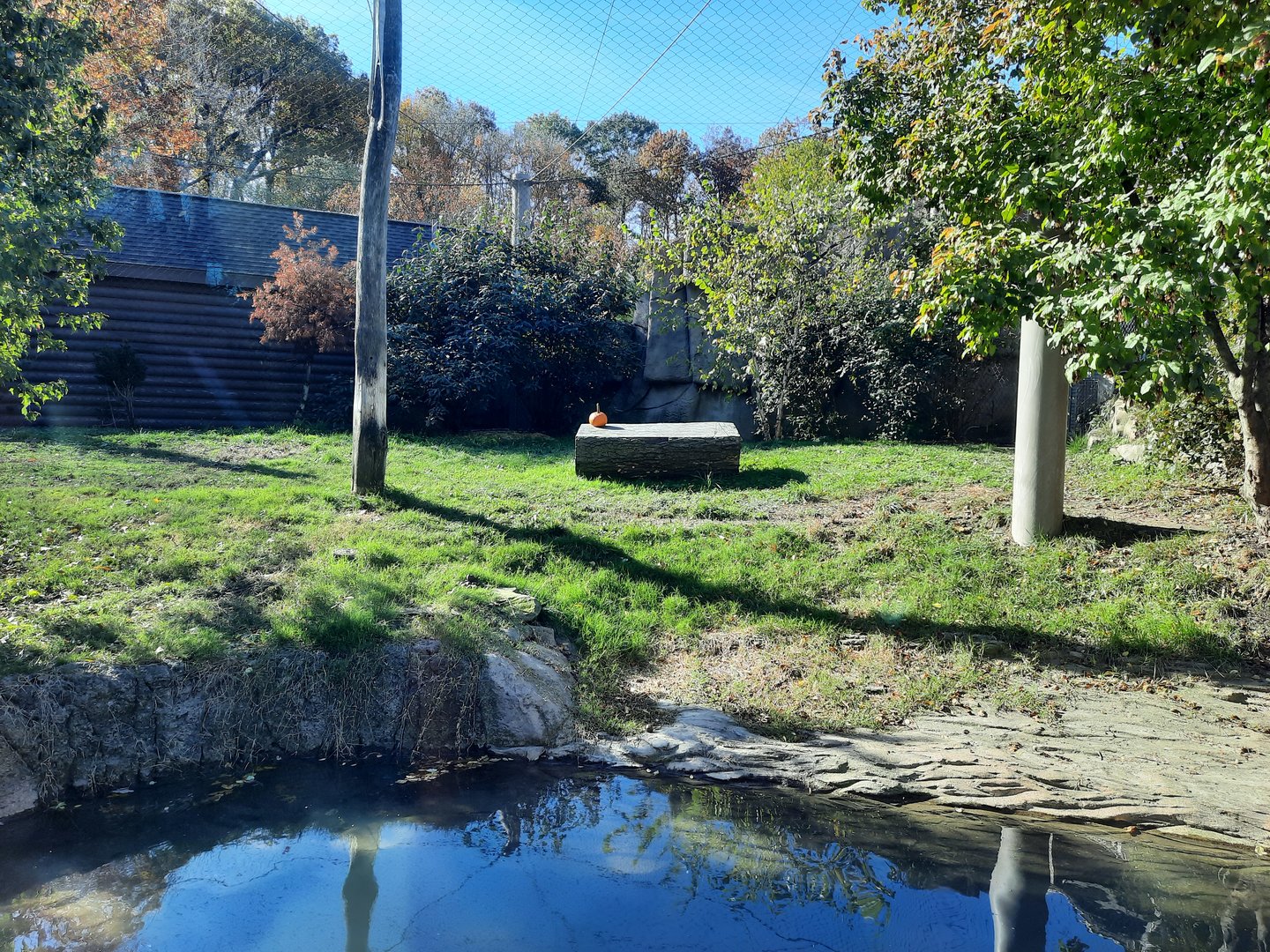 Pumpkin (Cucurbita pepo) Exhibit