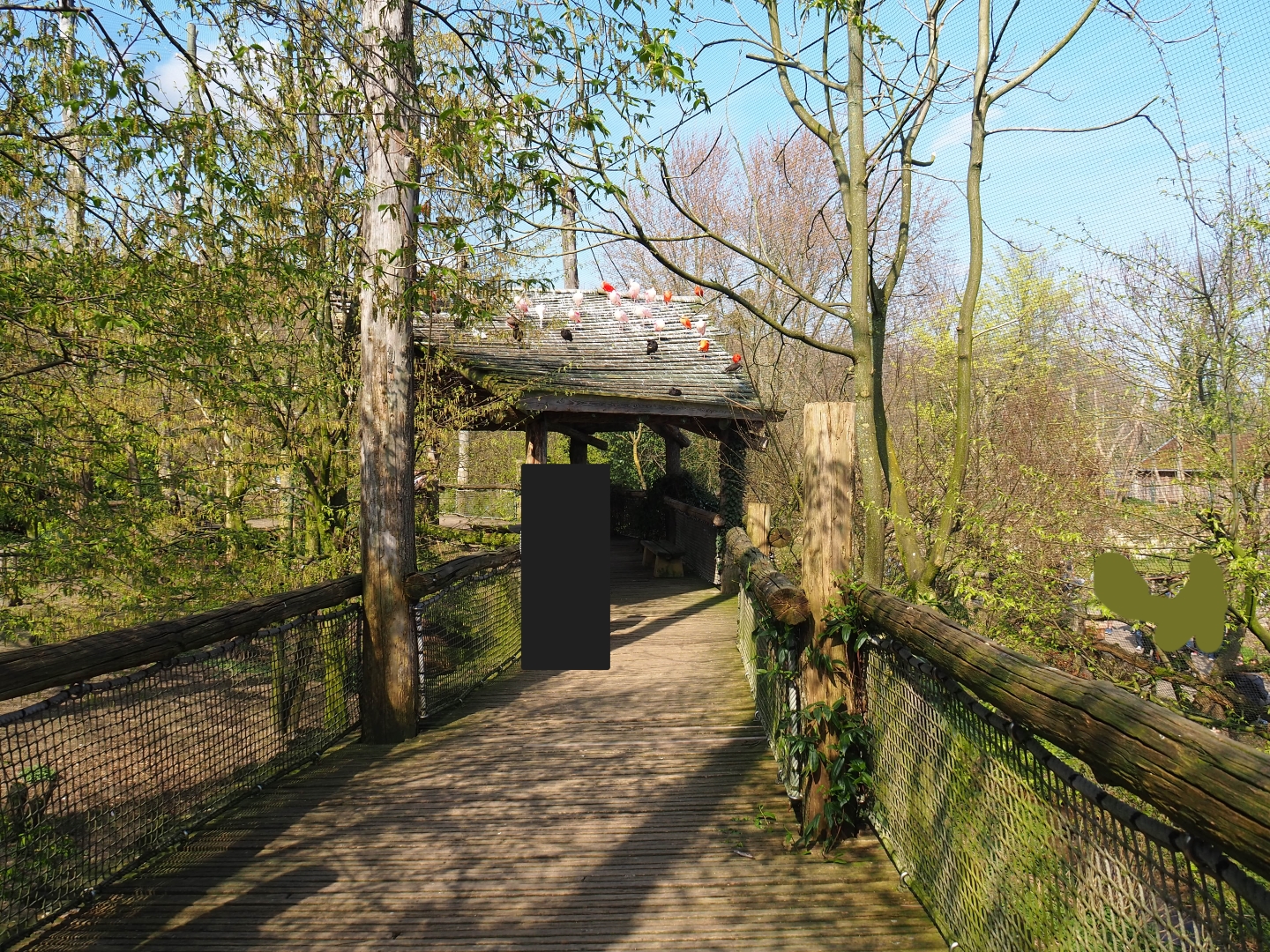 Puna aviary, 2019-03-30