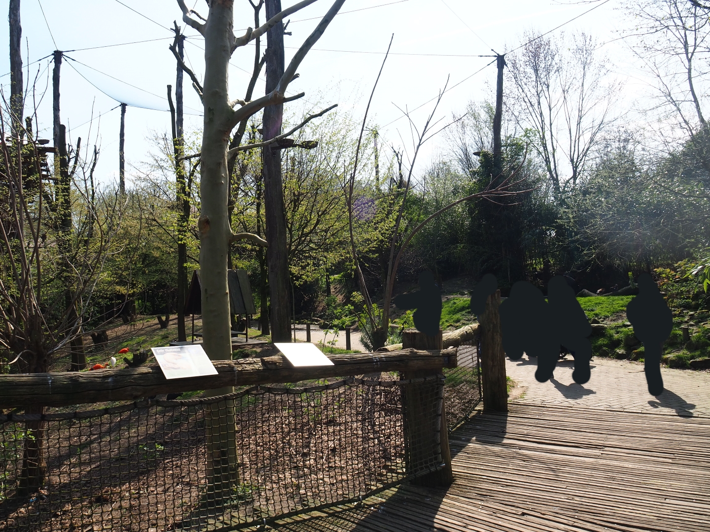 Puna aviary, 2019-03-30