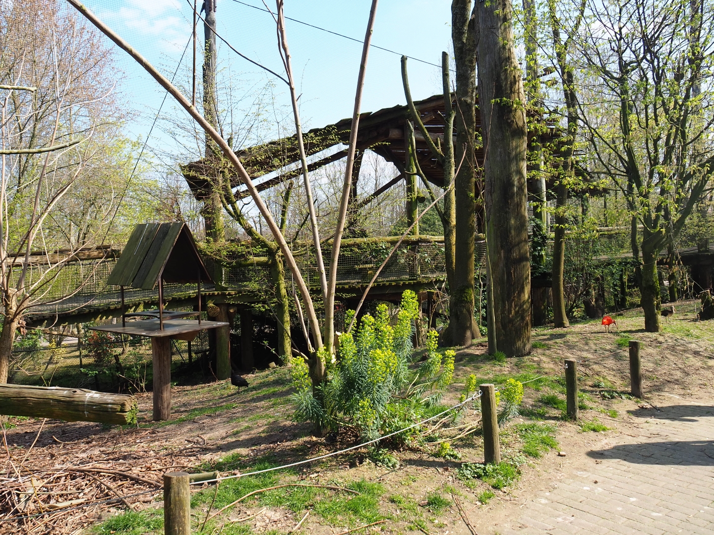 Puna aviary, 2019-03-30