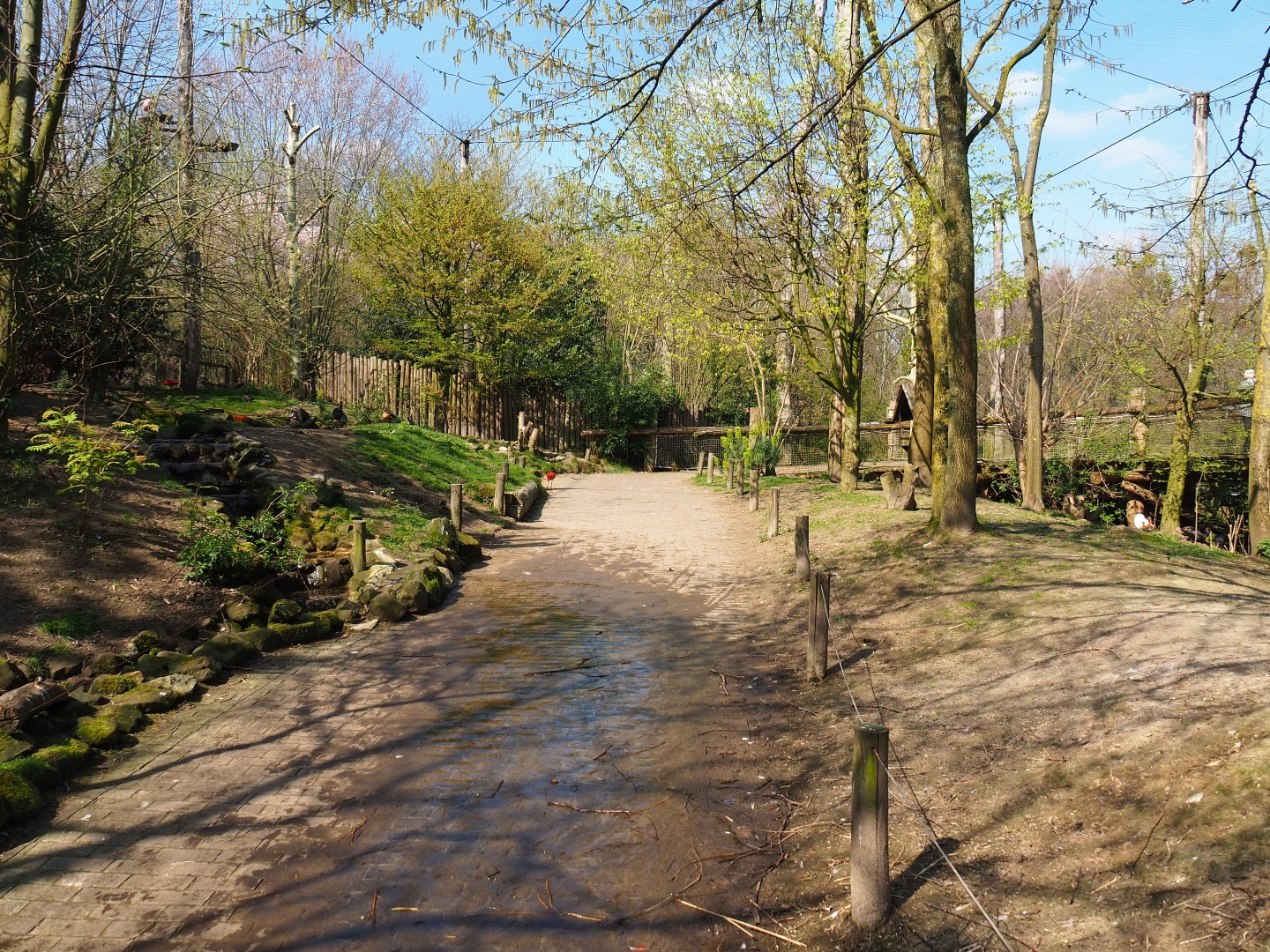 Puna aviary, 2019-03-30