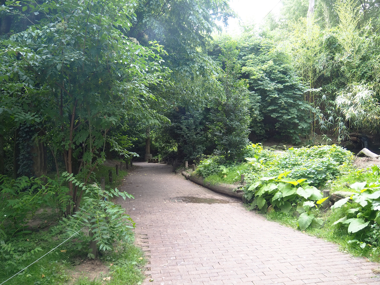 Puna aviary/South American aviary, 2023-07-18