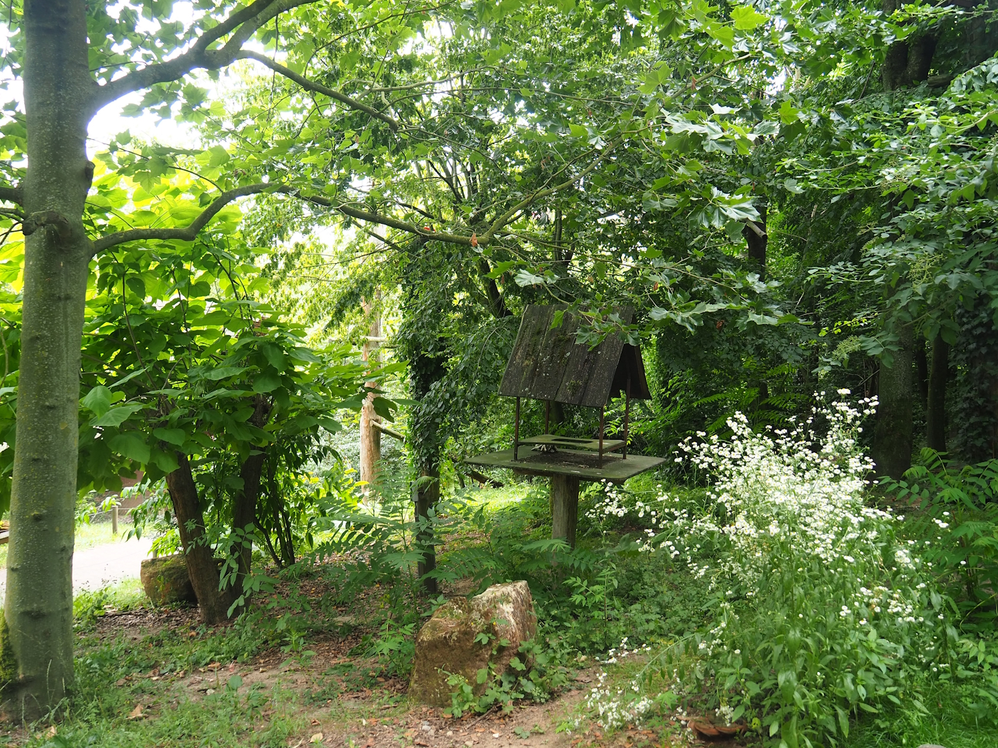 Puna aviary/South American aviary, 2023-07-18