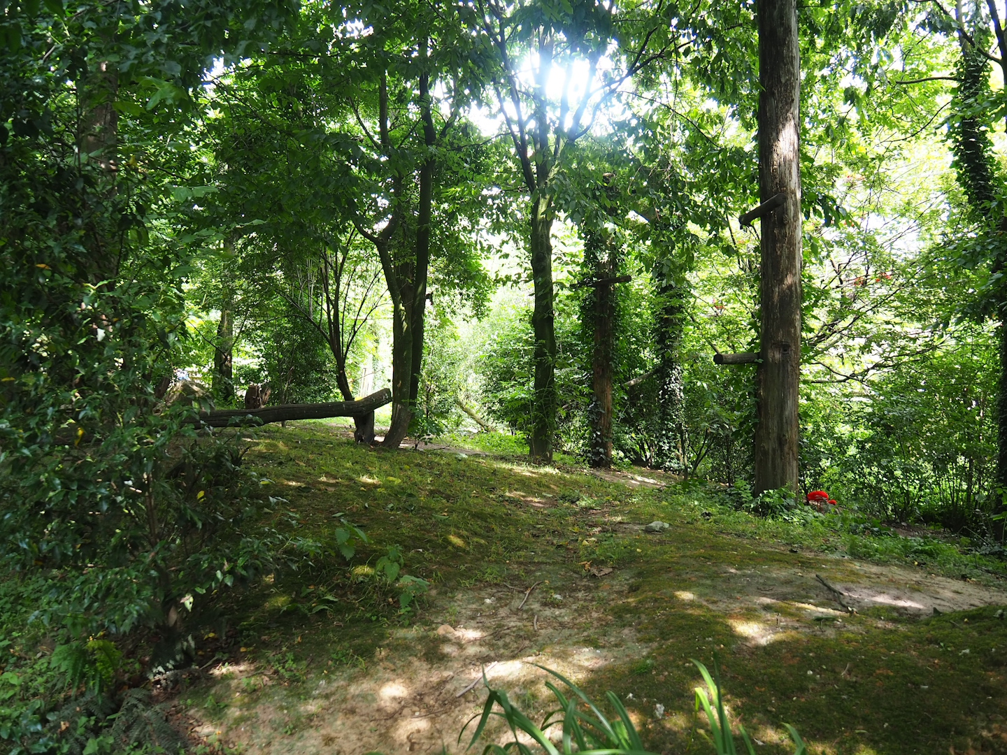 Puna aviary/South American aviary, 2023-07-18