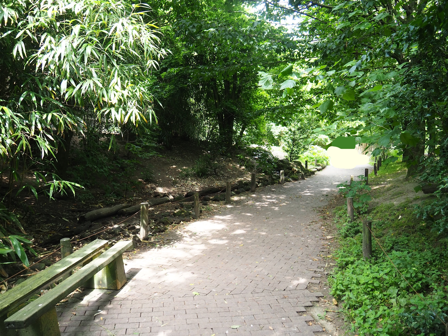 Puna aviary/South American aviary, 2023-07-18