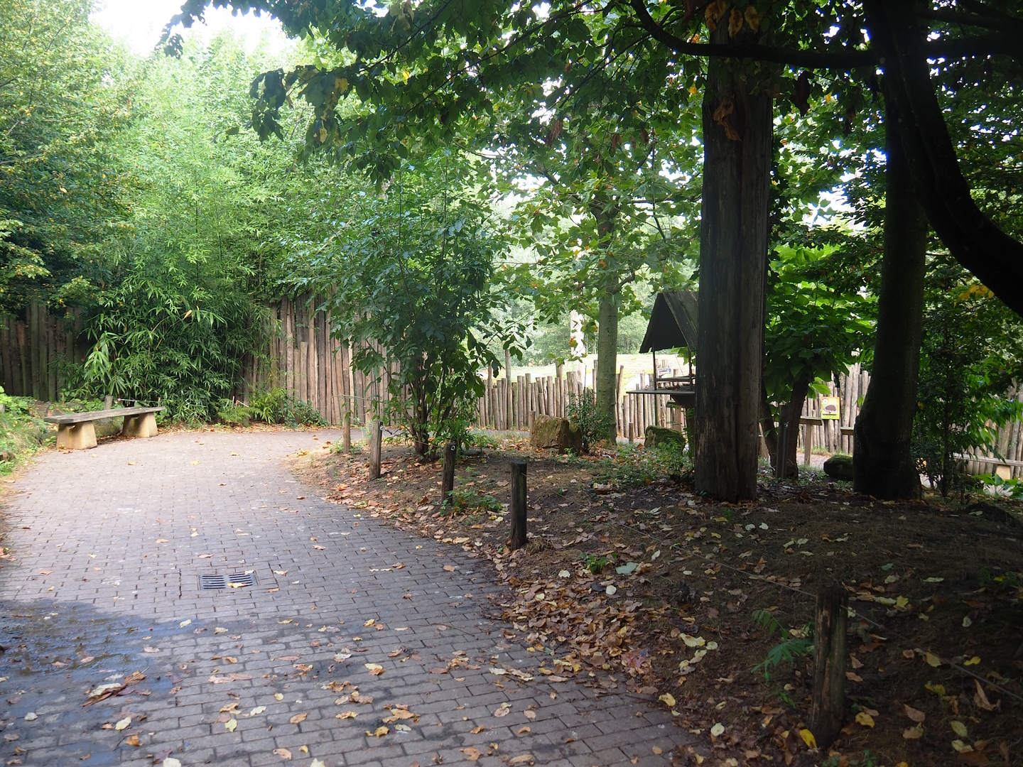 Puna South American aviary, 2022-08-20