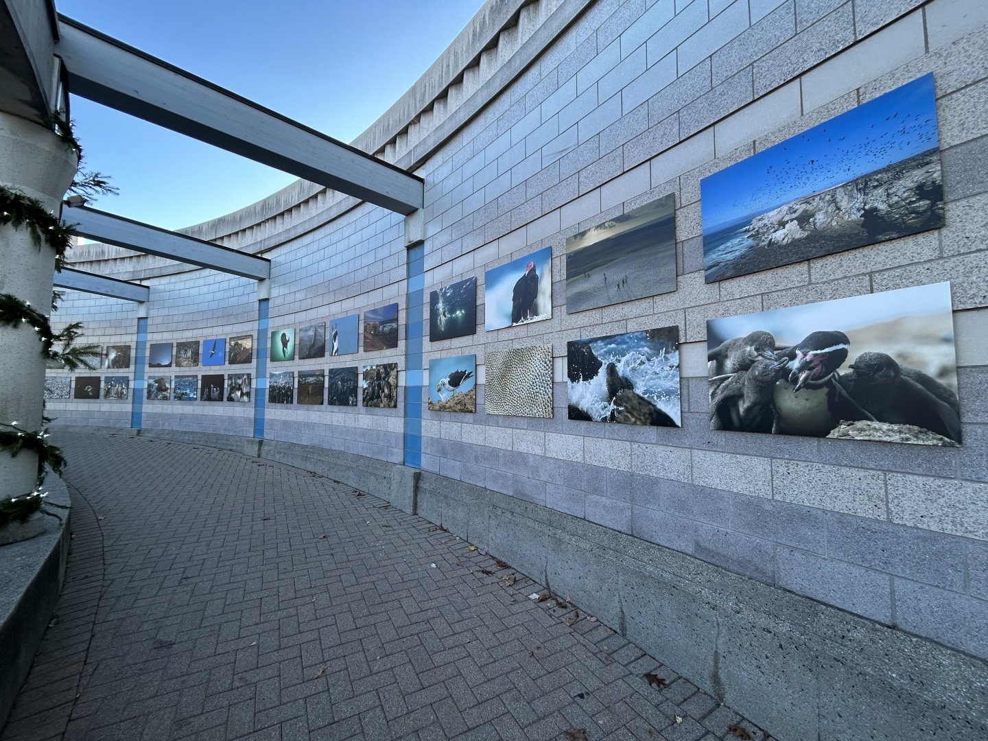 Punta San Juan Photo Instillation