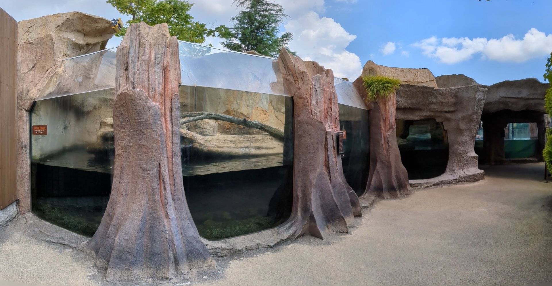 Pure Eurasian Otter Exhibit