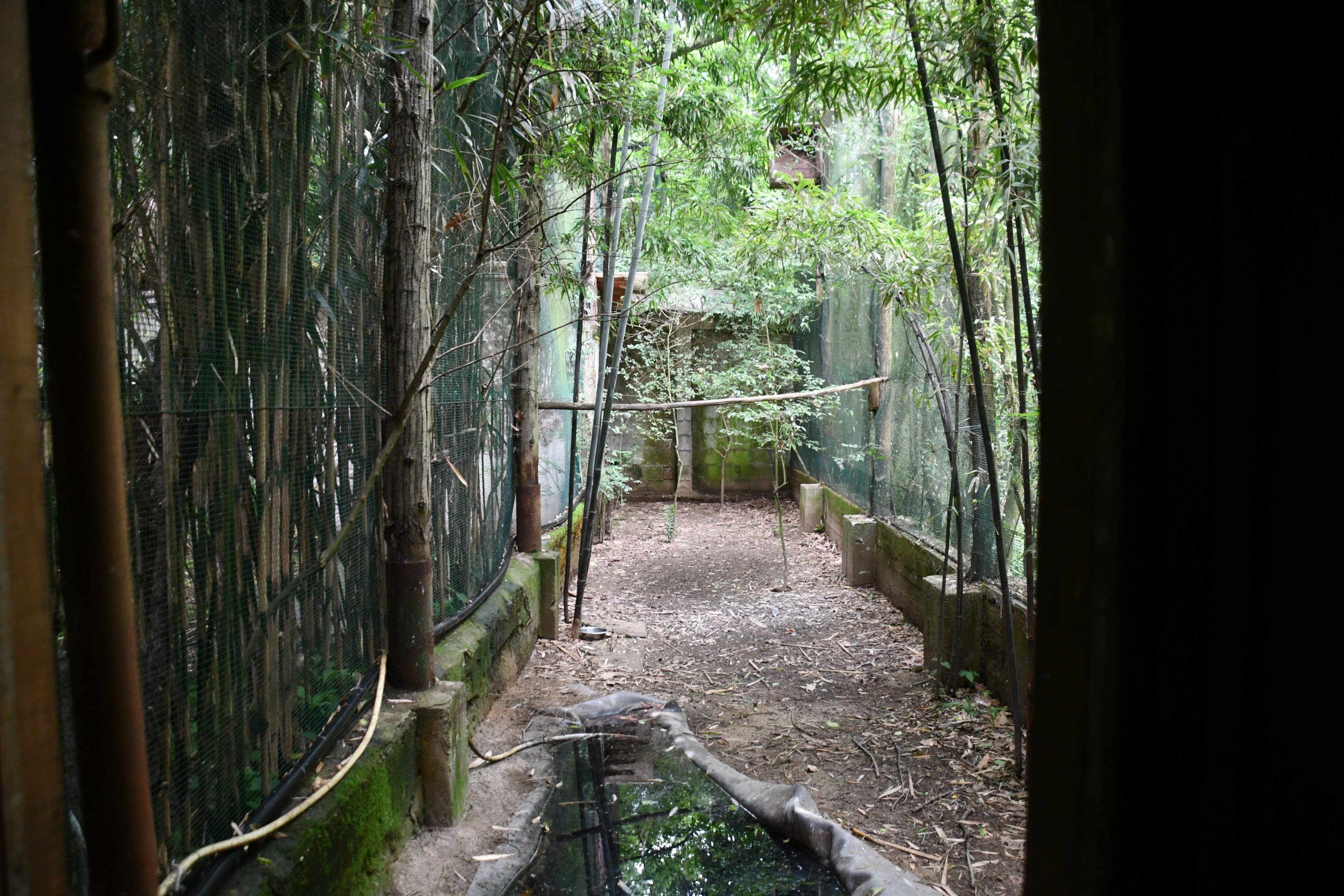 Purple Heron exhibit