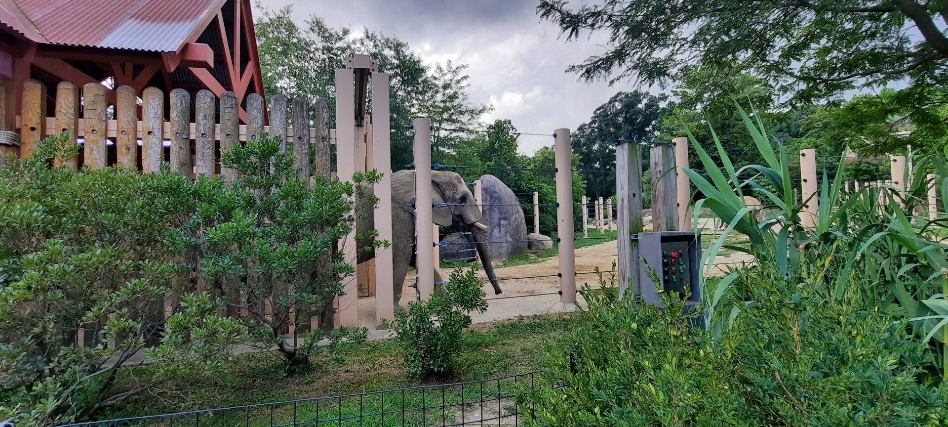 Putting the "Crossing" in Elephant Crossing
