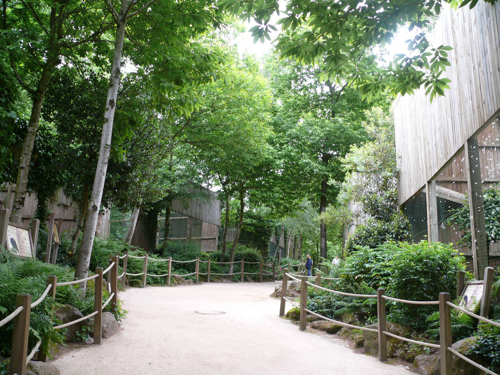 Puy du Fou - Birds of prey aviaries