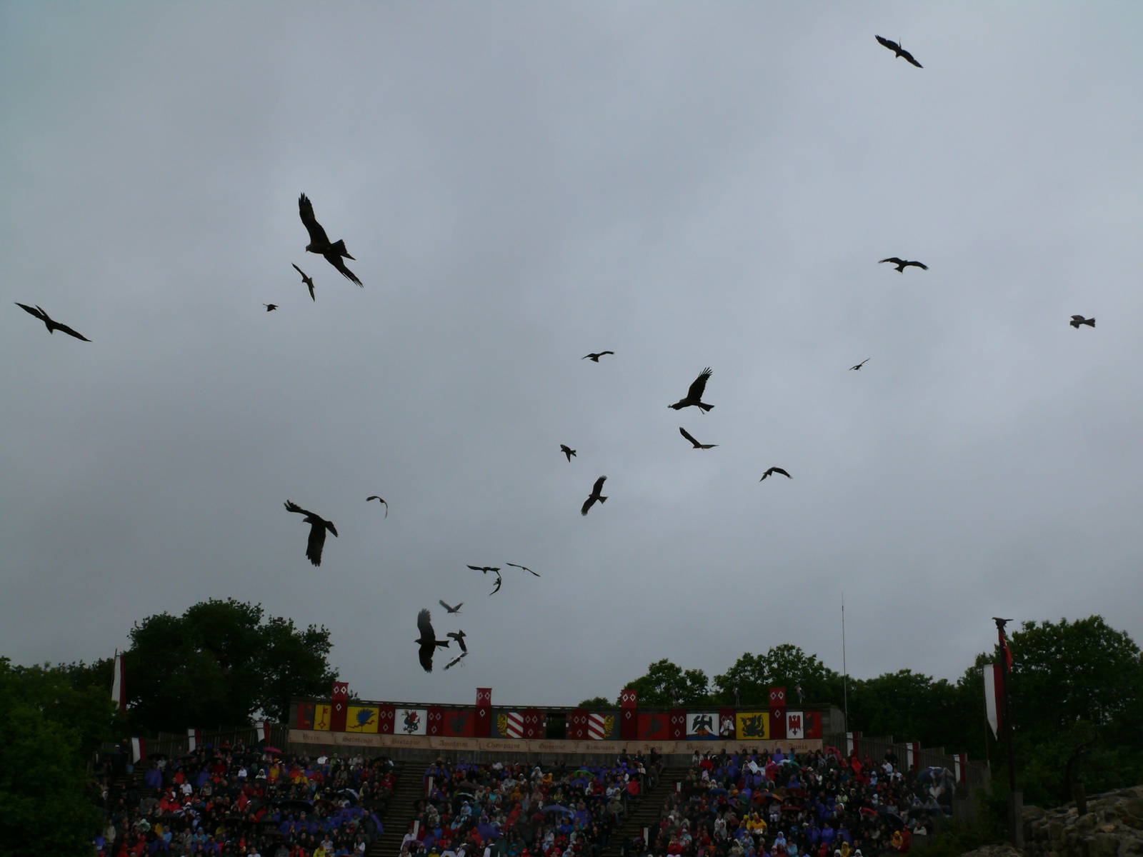 Puy du Fou - Birds of prey show