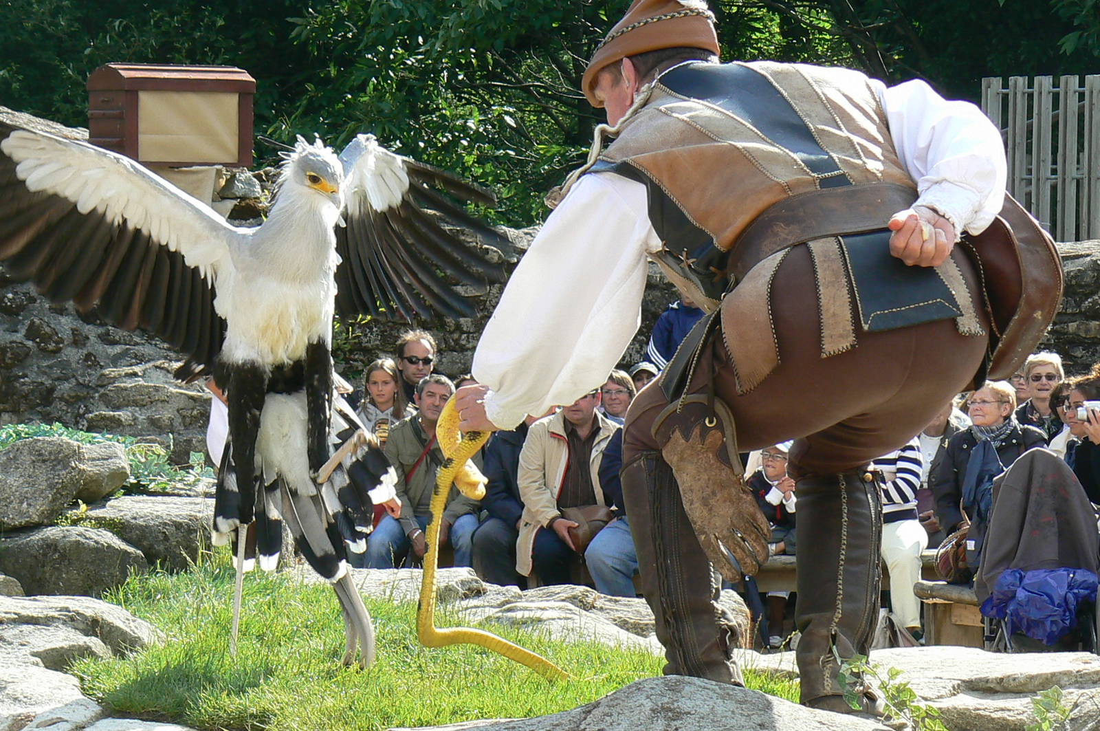 Puy-du-Fou Park - Birds of prey show