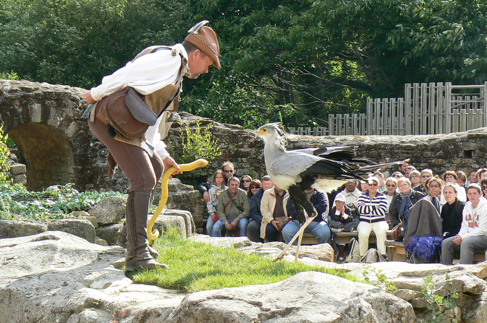 Puy-du-Fou Park - Birds of prey show