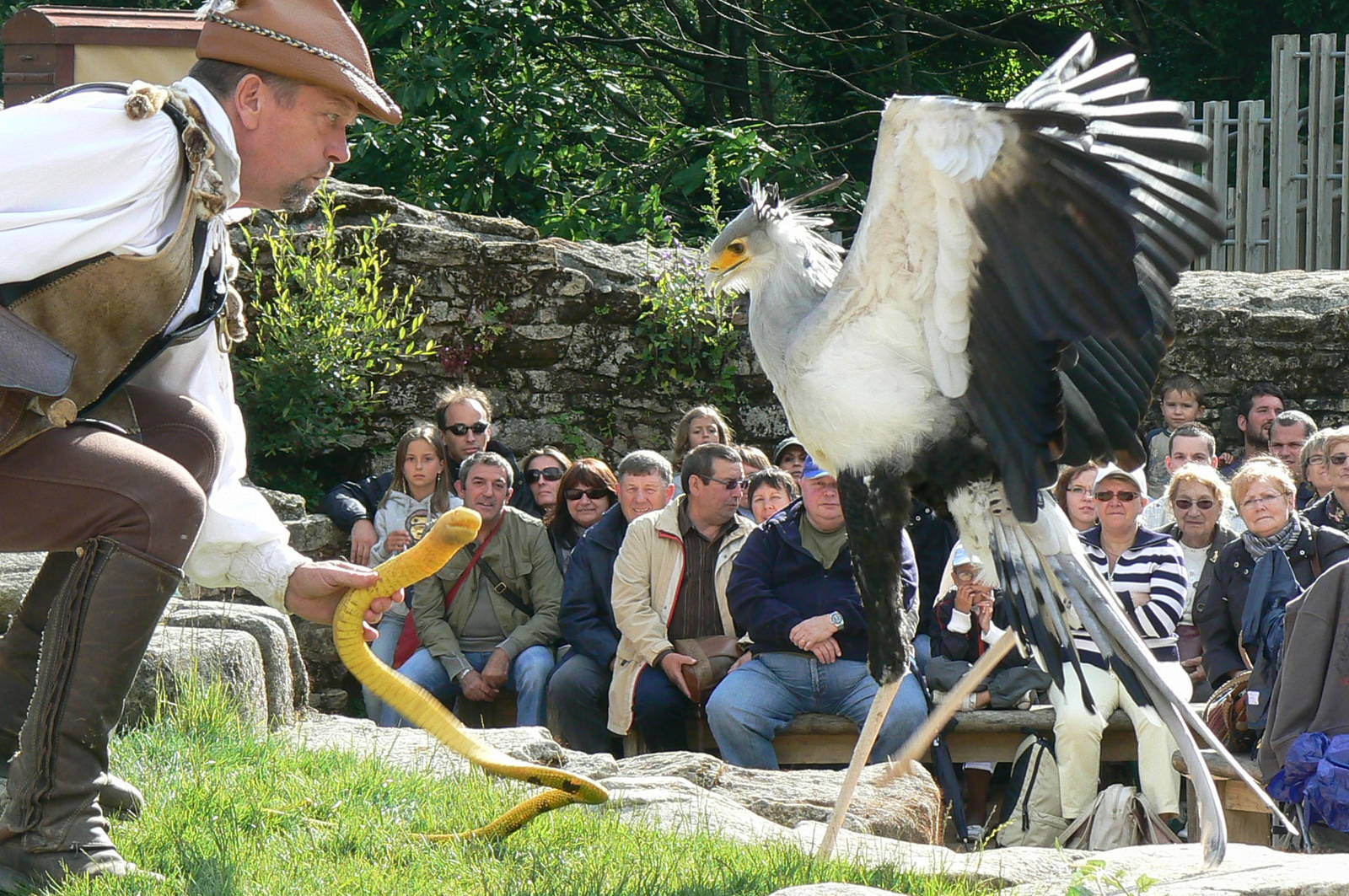 Puy-du-Fou Park - Birds of prey show