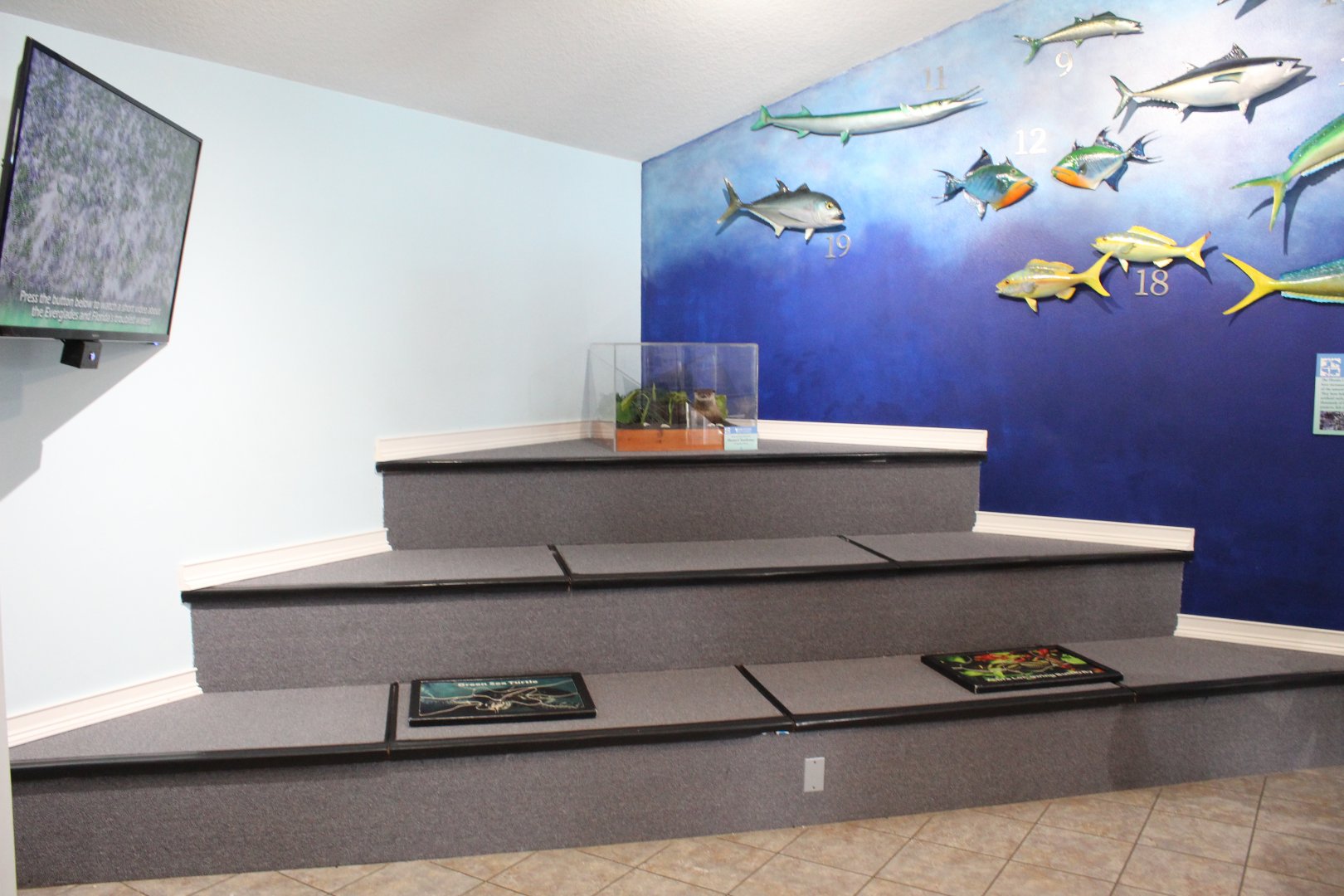 Puzzle and Play Area