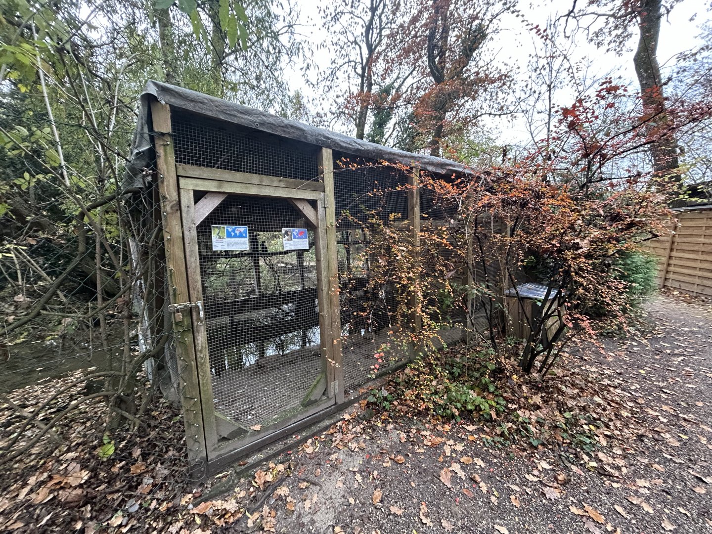 Pygmy Cormorant & Black Oystercatcher Aviary