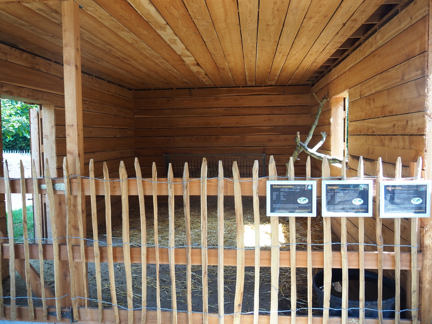 Pygmy goat and Ronquières turkey stable
