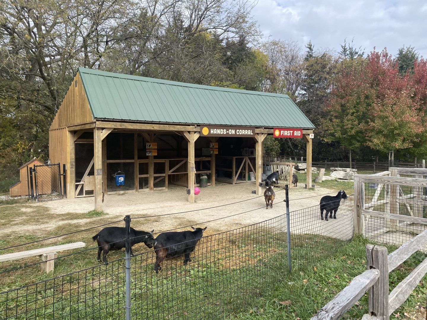 Pygmy Goat & Chicken Paddock