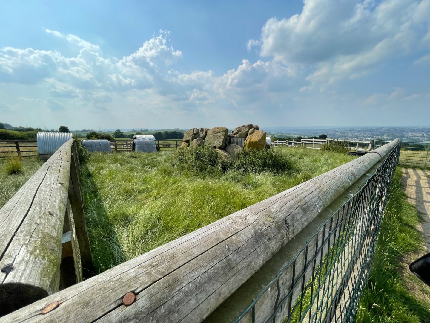 Pygmy Goat Enclosure at Charlotte's Ice Cream Parlour (July 2021)