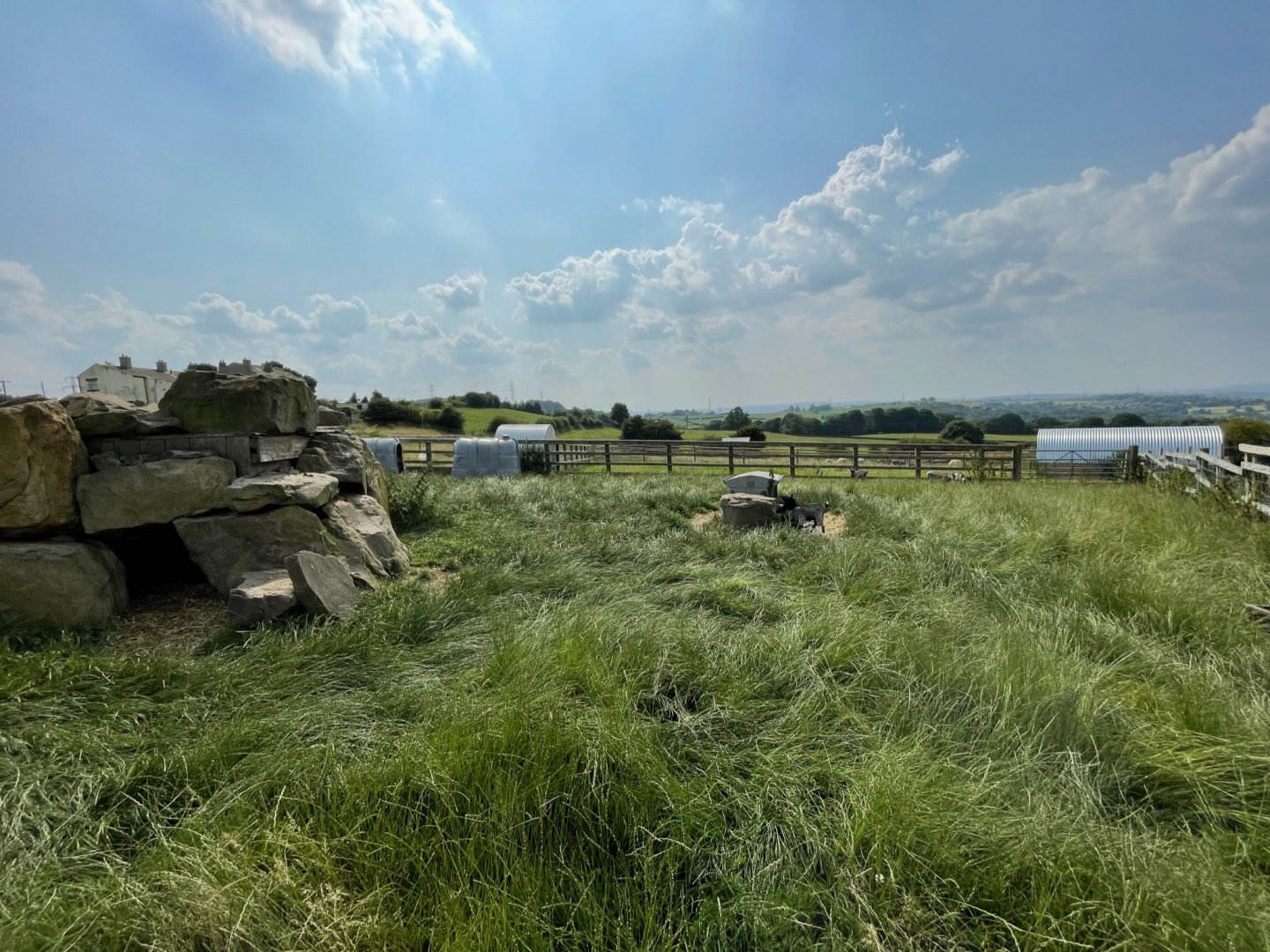 Pygmy Goat Enclosure at Charlotte's Ice Cream Parlour (July 2021)