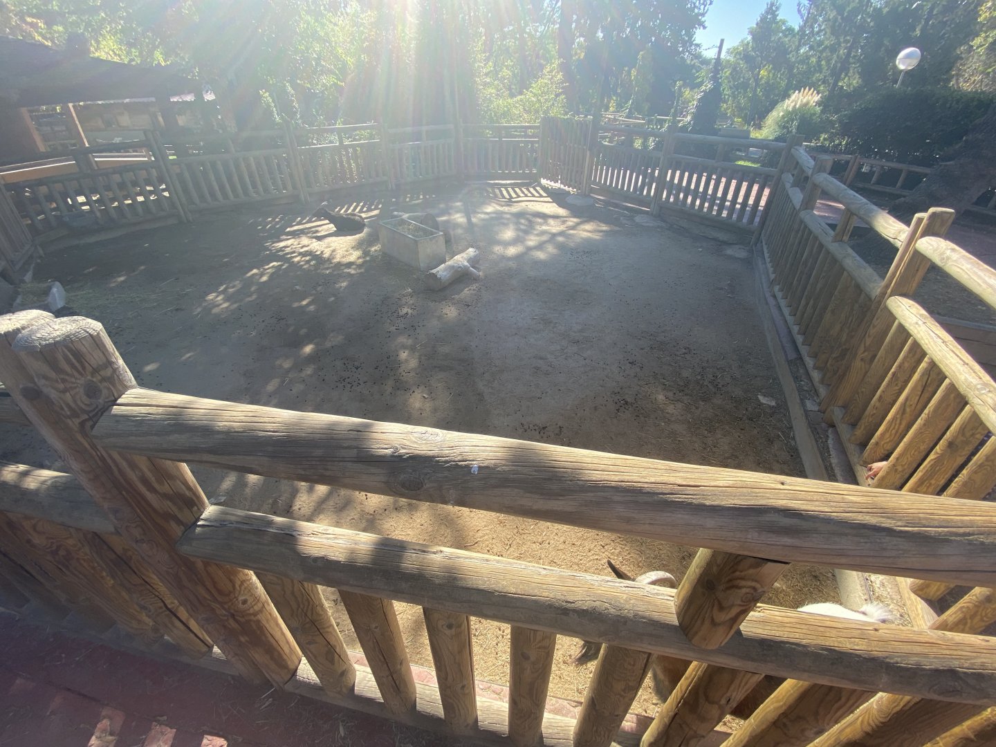 Pygmy goat enclosure