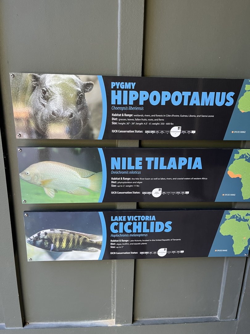 Pygmy Hippo and Cichlid Signage