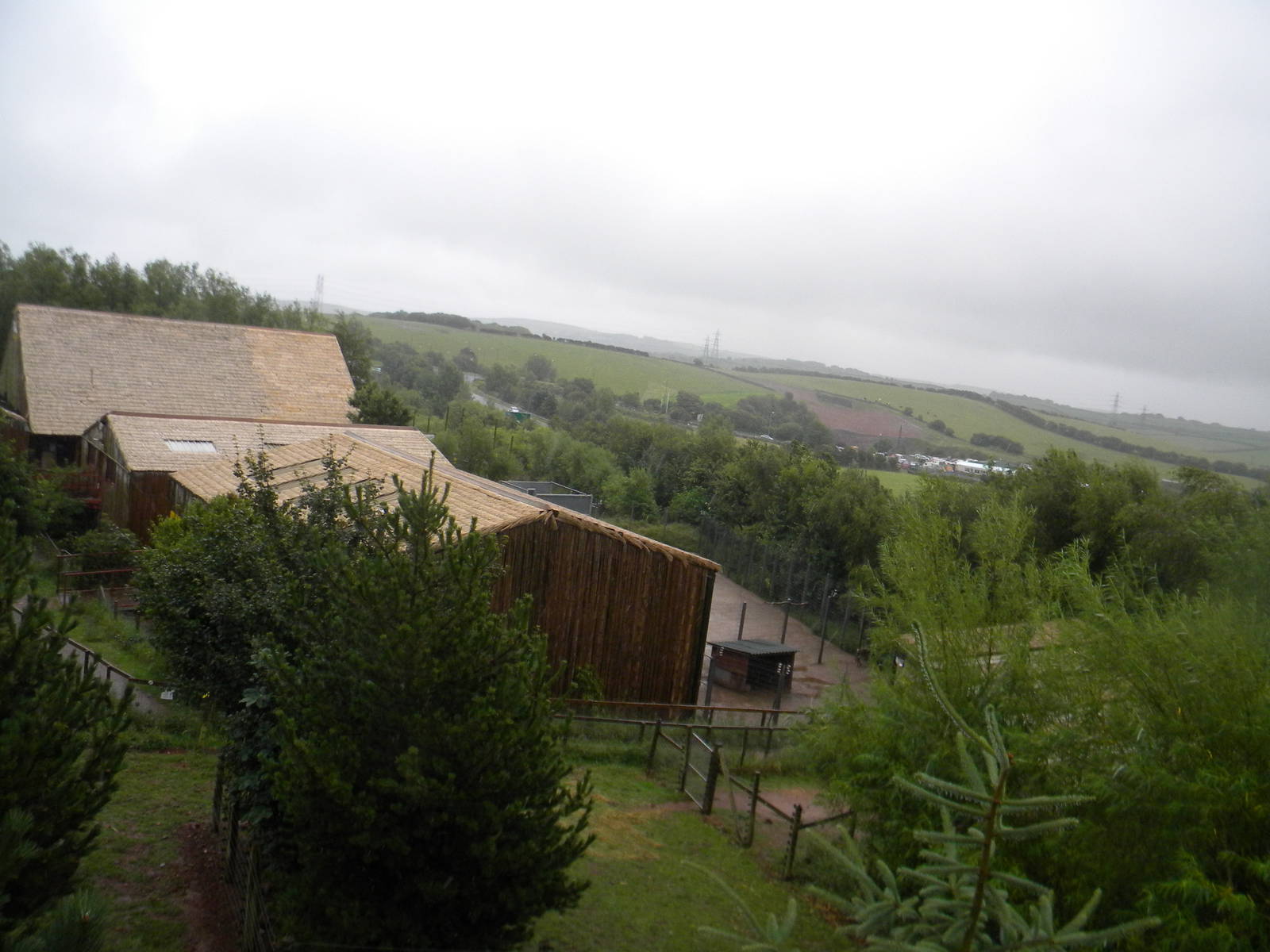Pygmy Hippo and Mandrill enclosure at SLWAP 16/07/11