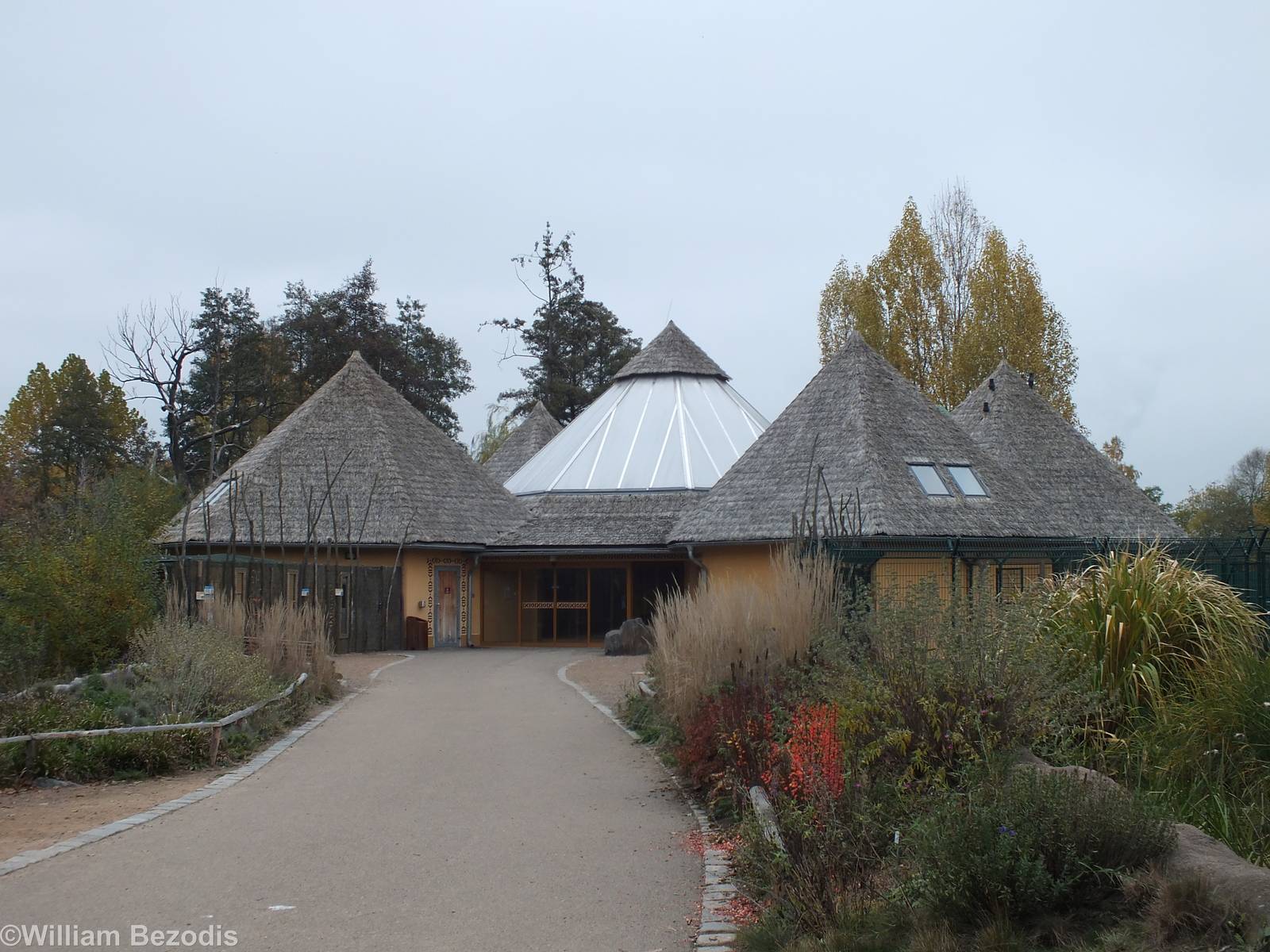 Pygmy Hippo Building Viewed from Outside