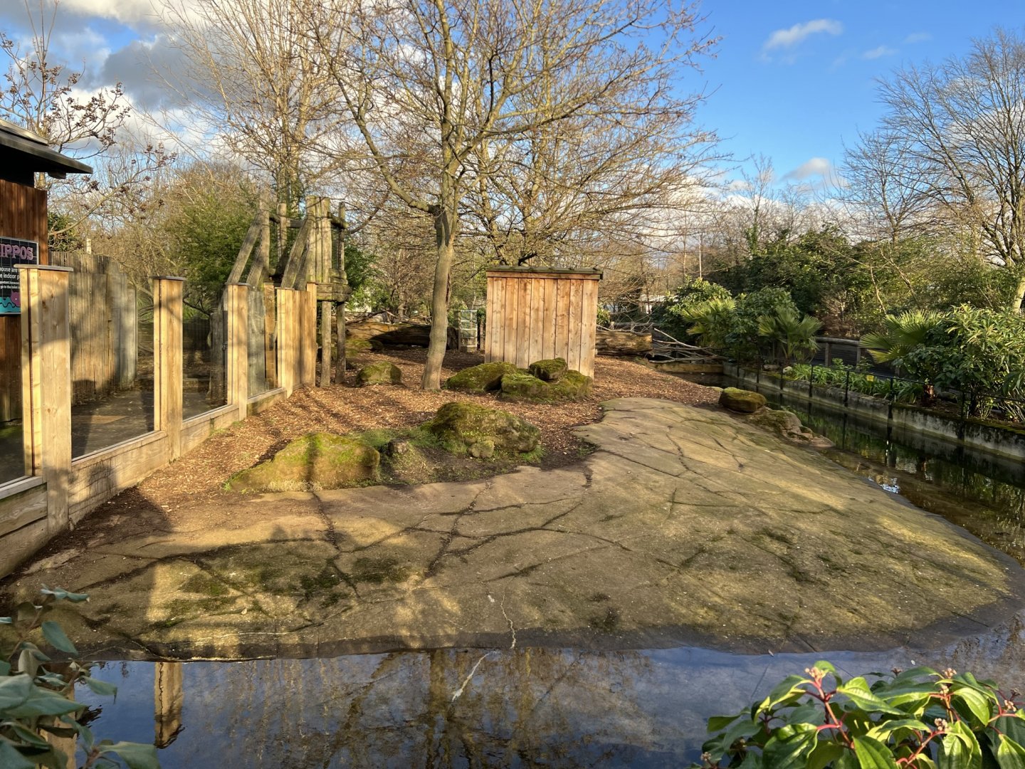 Pygmy Hippo (Choeropsis liberiensis) Enclosure