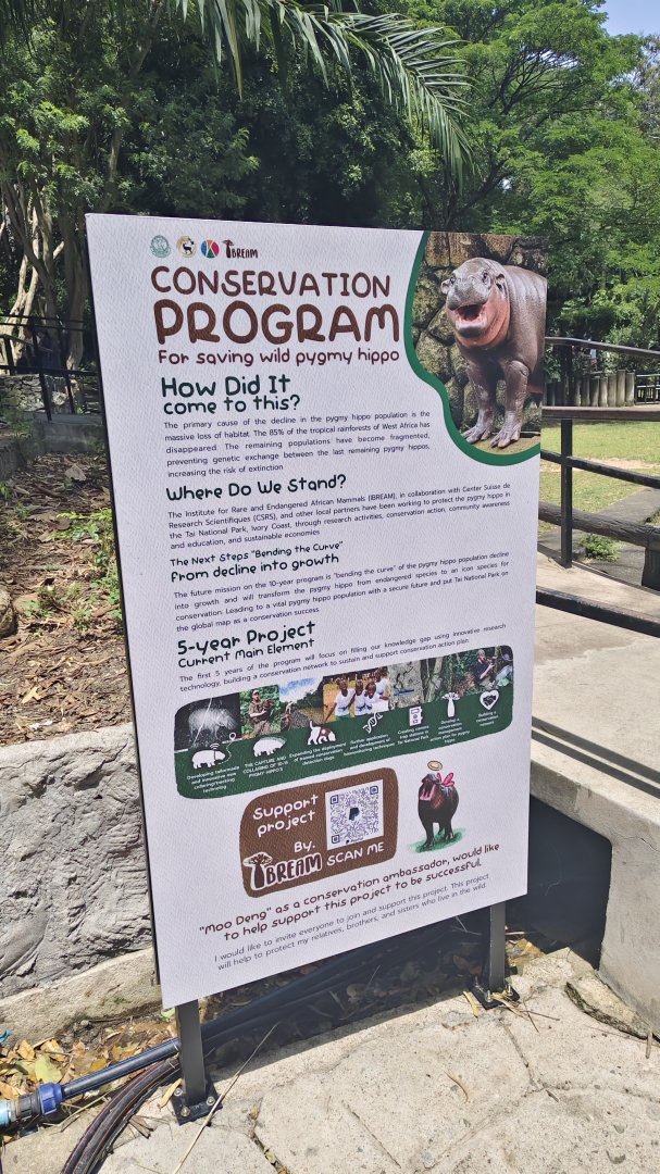 Pygmy hippo conservation sign.