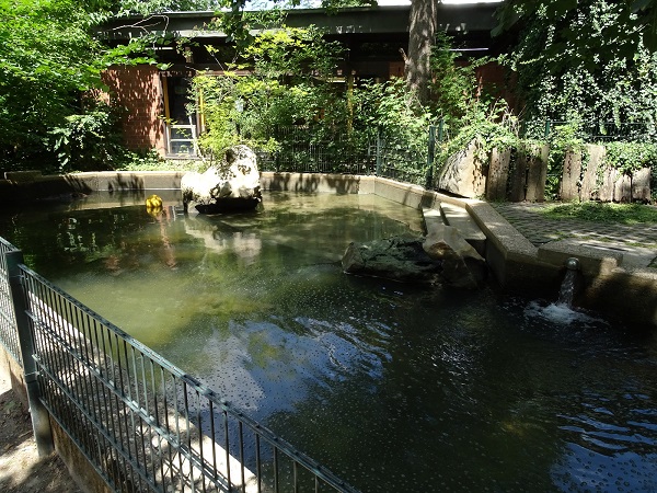 Pygmy hippo enclosure (07/22)