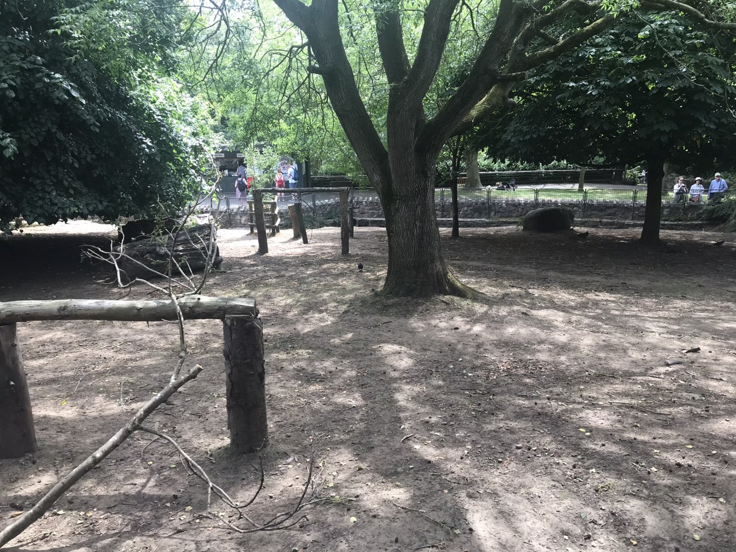 Pygmy hippo enclosure (2)