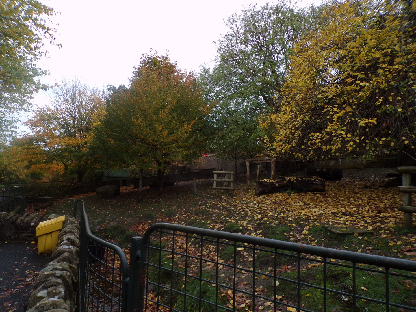 Pygmy hippo enclosure (2)