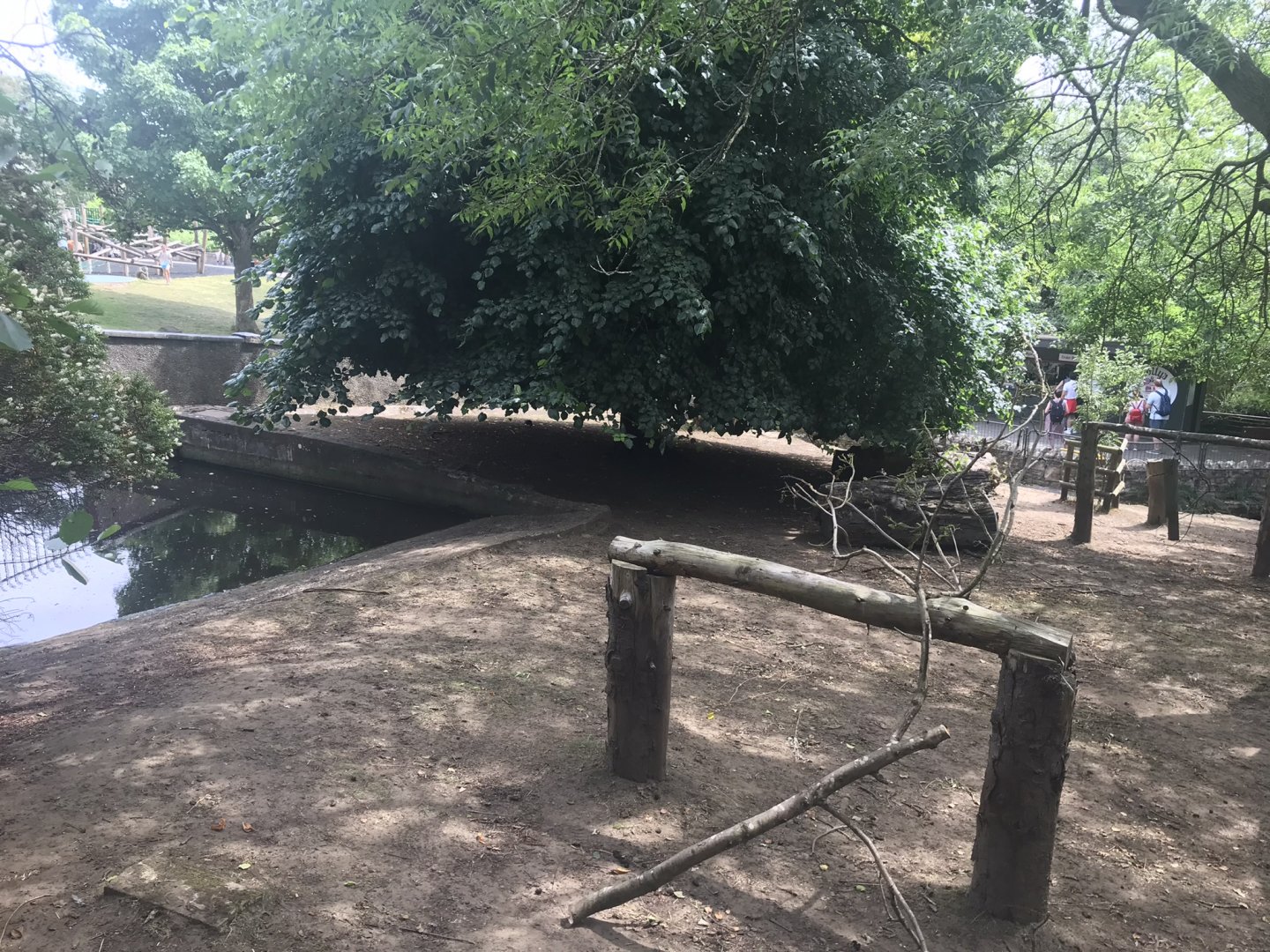 Pygmy hippo enclosure (3)