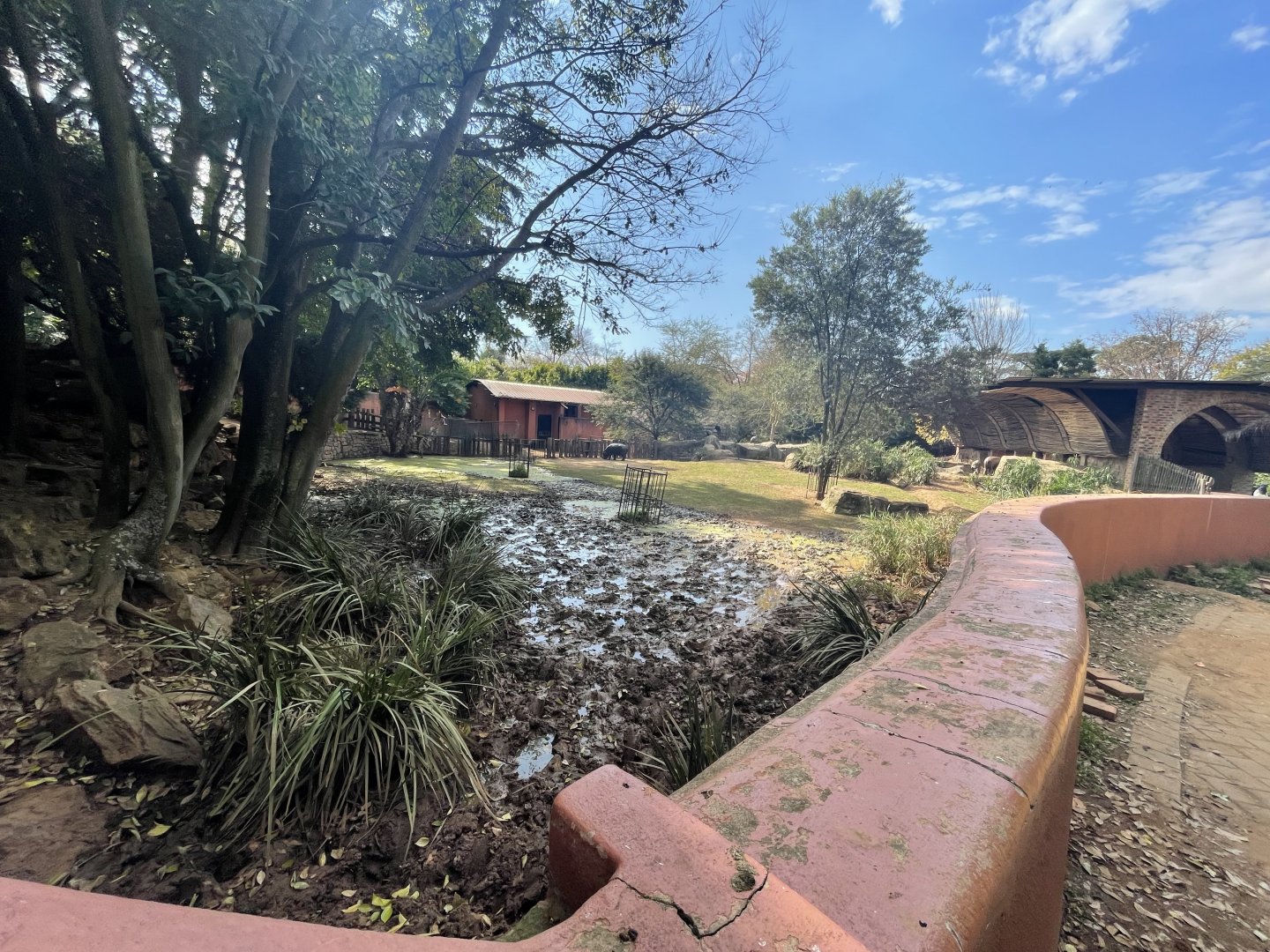 Pygmy Hippo Enclosure (Choeropsis liberiensis)