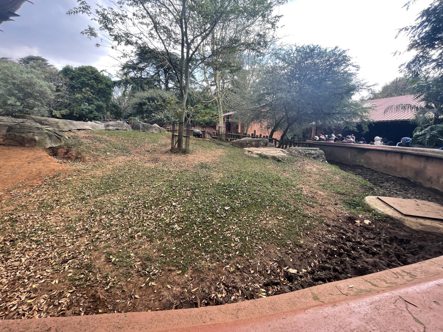 Pygmy Hippo Enclosure (Choeropsis liberiensis)