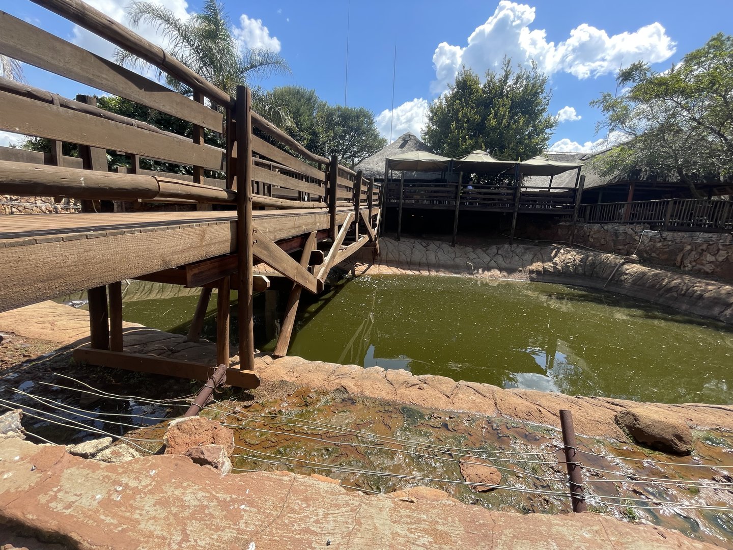 Pygmy Hippo Enclosure (Choeropsis liberiensis)
